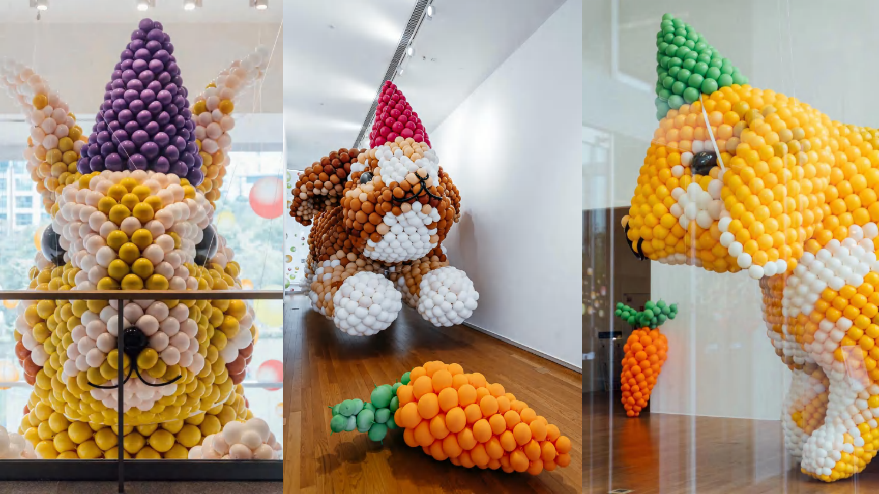 大黄鸭《橡皮鸭二重畅》装置艺术展