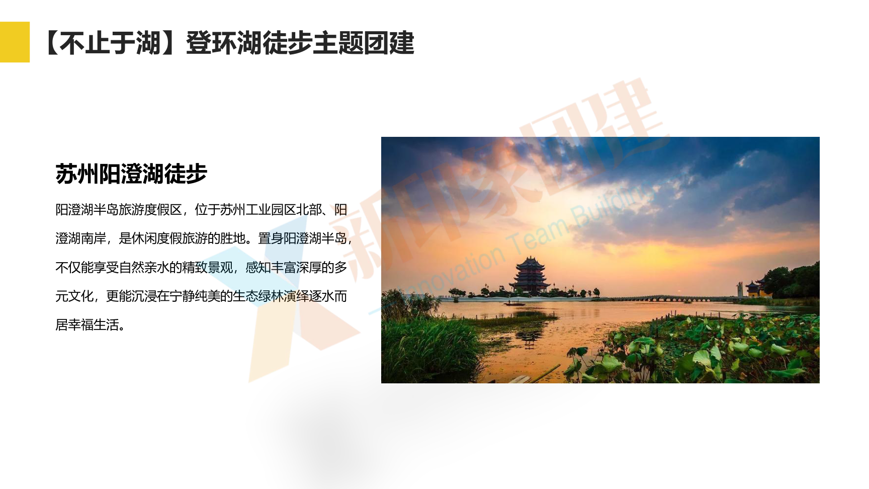 企业团建 党建活动 趣味运动会
