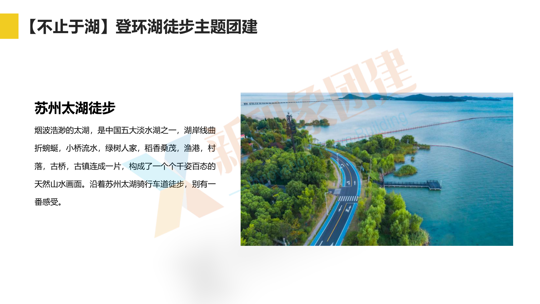 企业团建 党建活动 趣味运动会