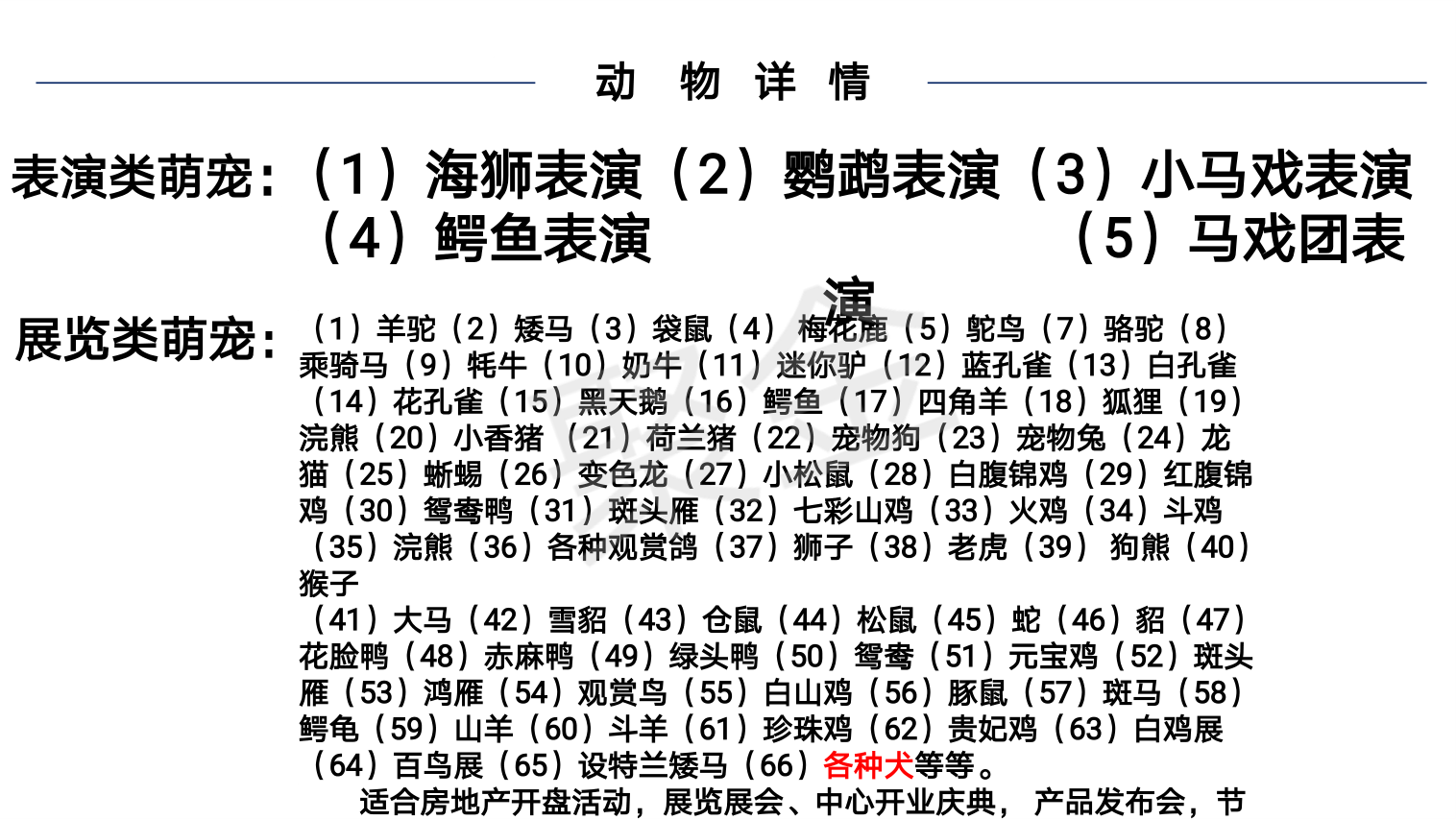 萌宠动物演出