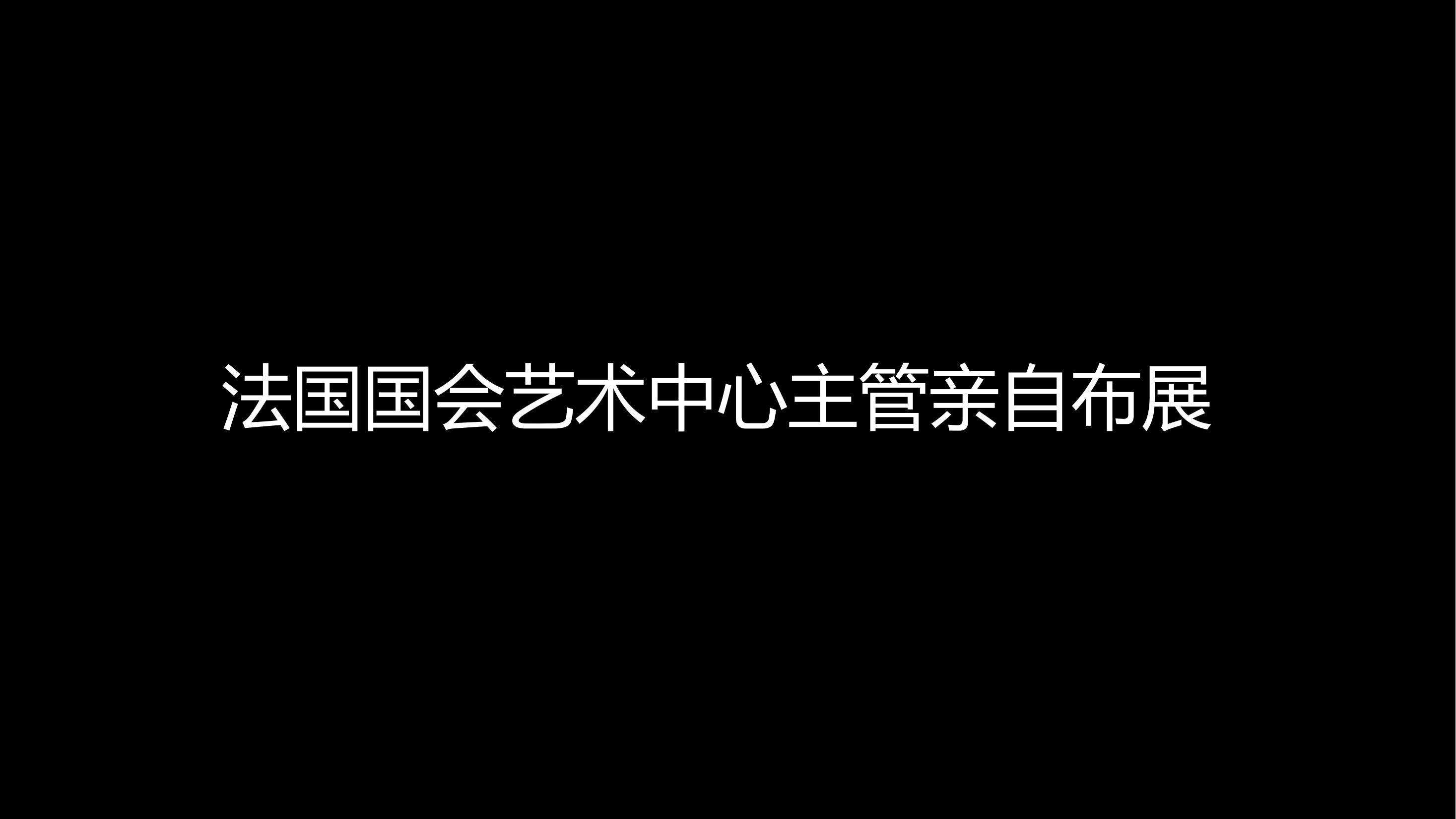 艺术头部毕.达.马.夏.艺术展暨中法建交60周年艺术巡回展