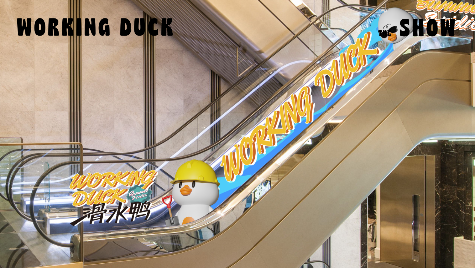 【杭州领星】滑水鸭WORKING DUCK