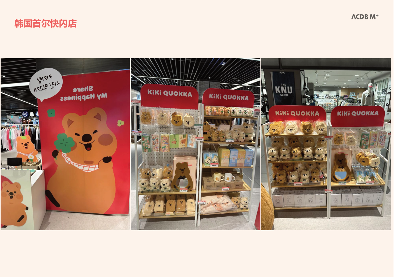 韩国人气IP-kikiquokka