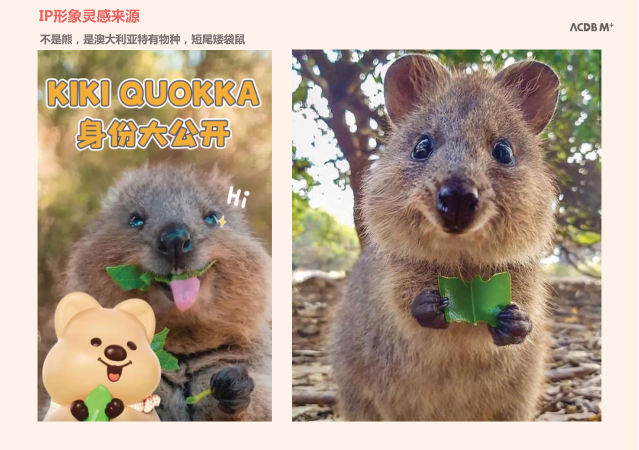韩国人气IP-kikiquokka