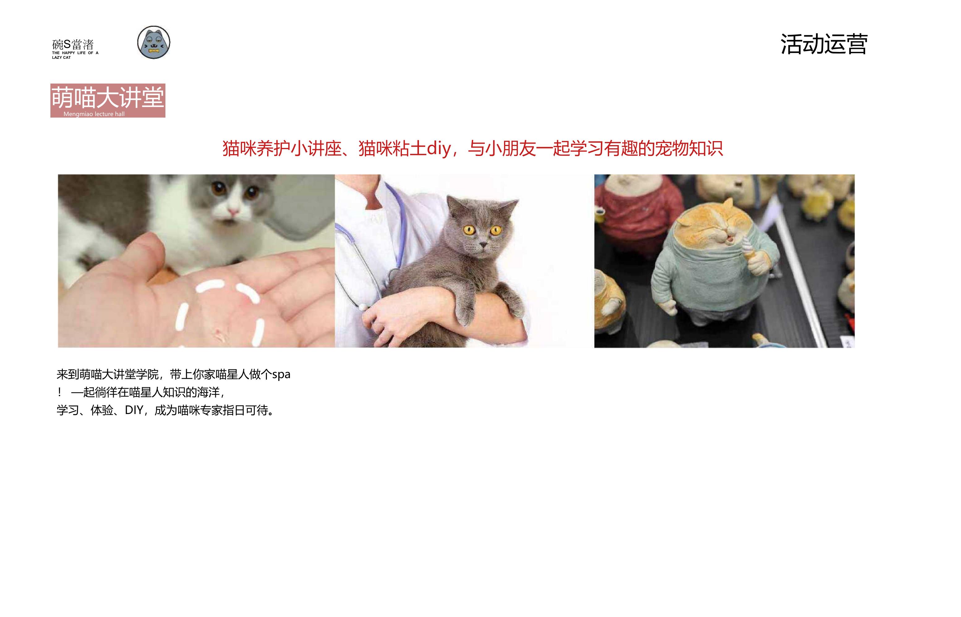 懒猫生活主题