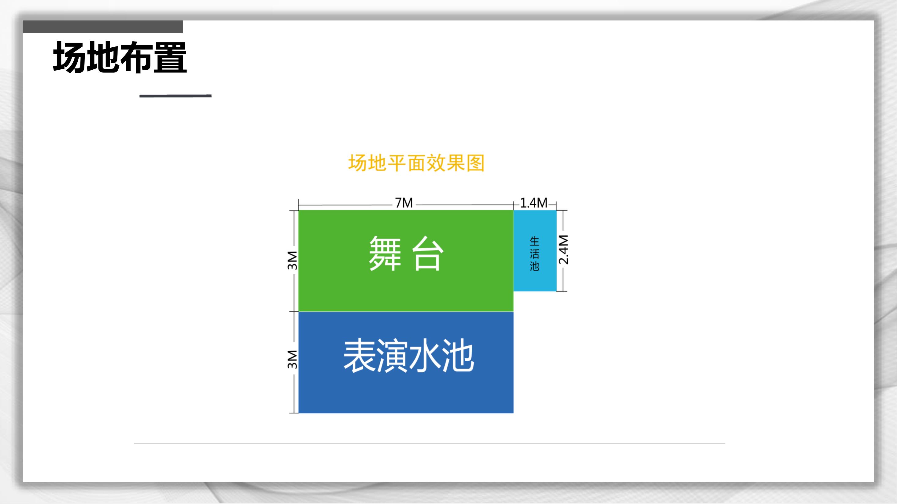 海狮表演租赁海狮出租