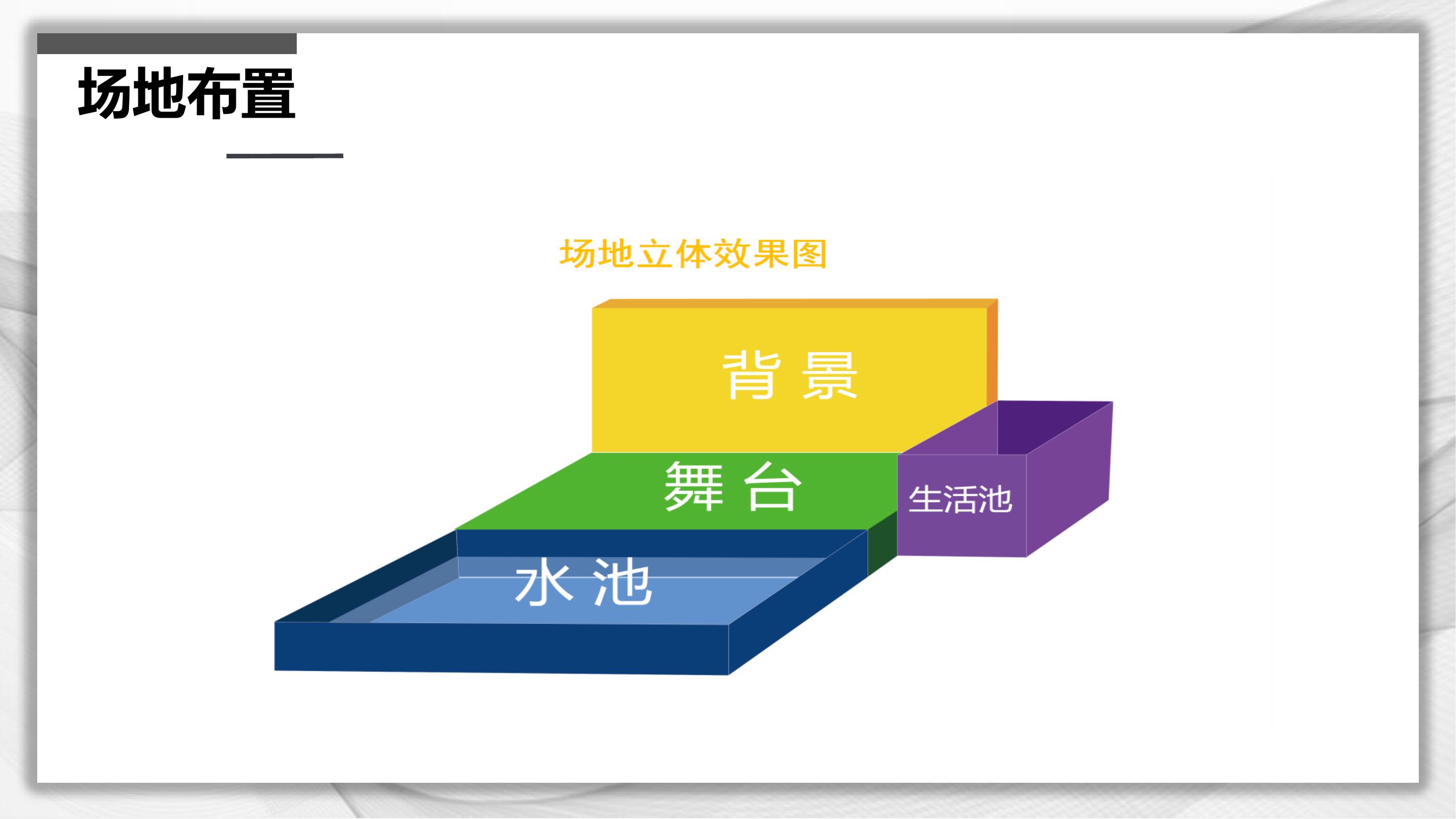 海狮表演租赁海狮出租