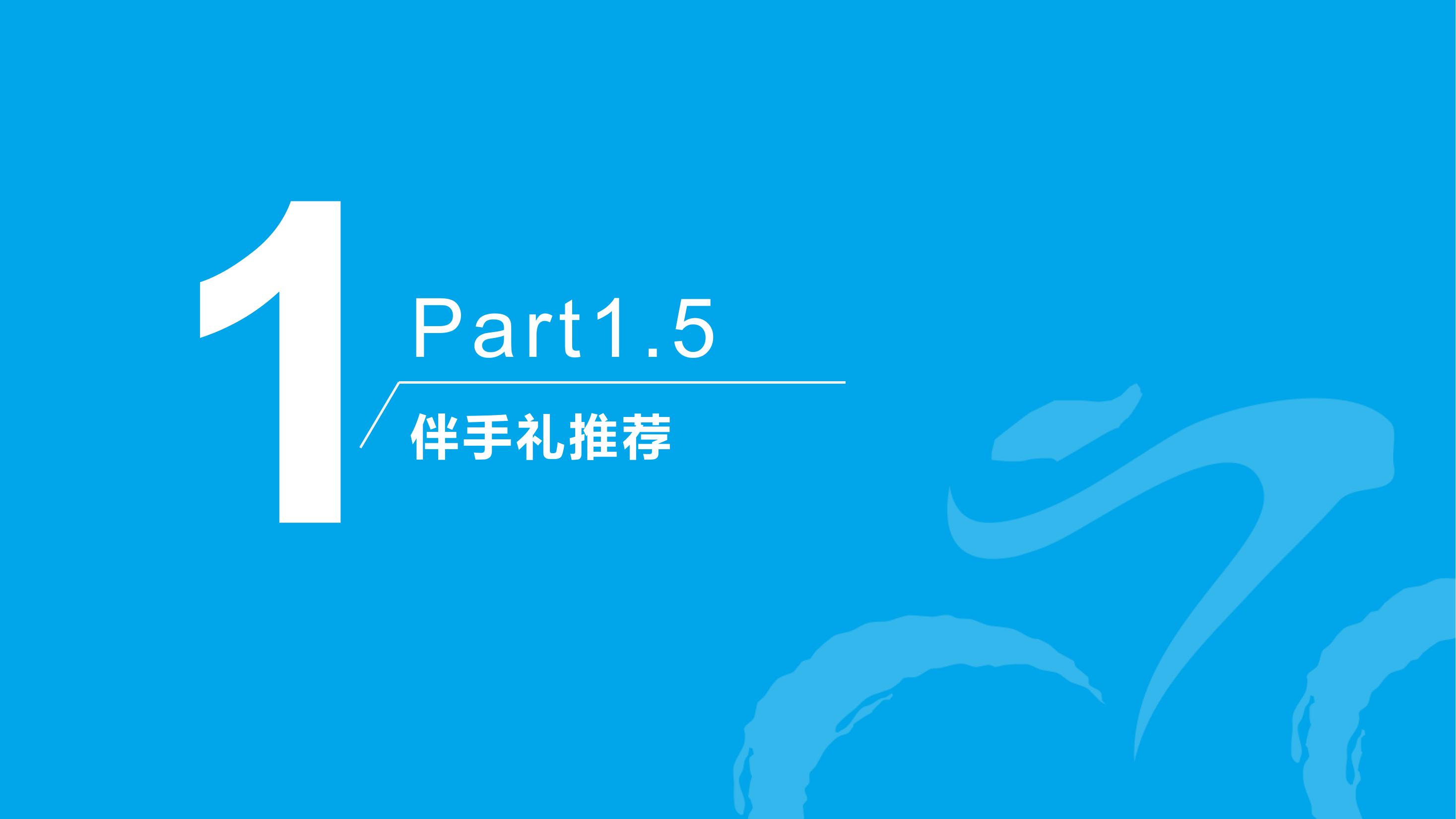 环赛湖嘉年华体育+产业策划方案