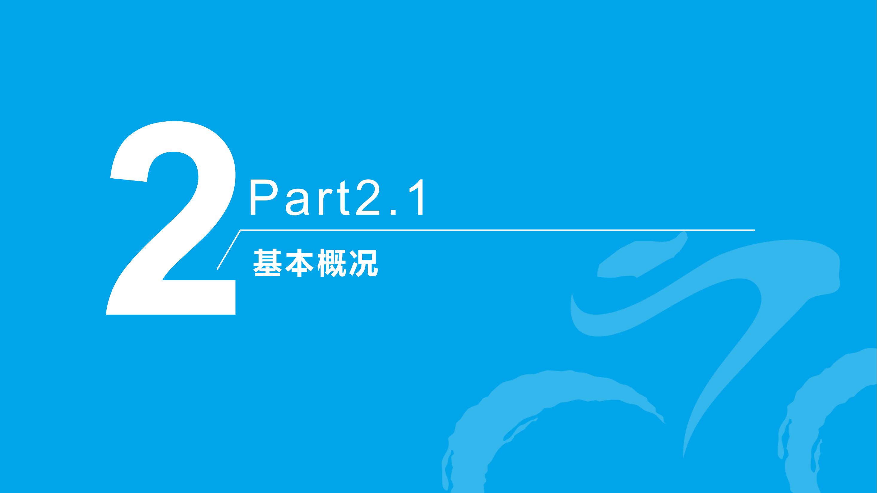 环赛湖嘉年华体育+产业策划方案