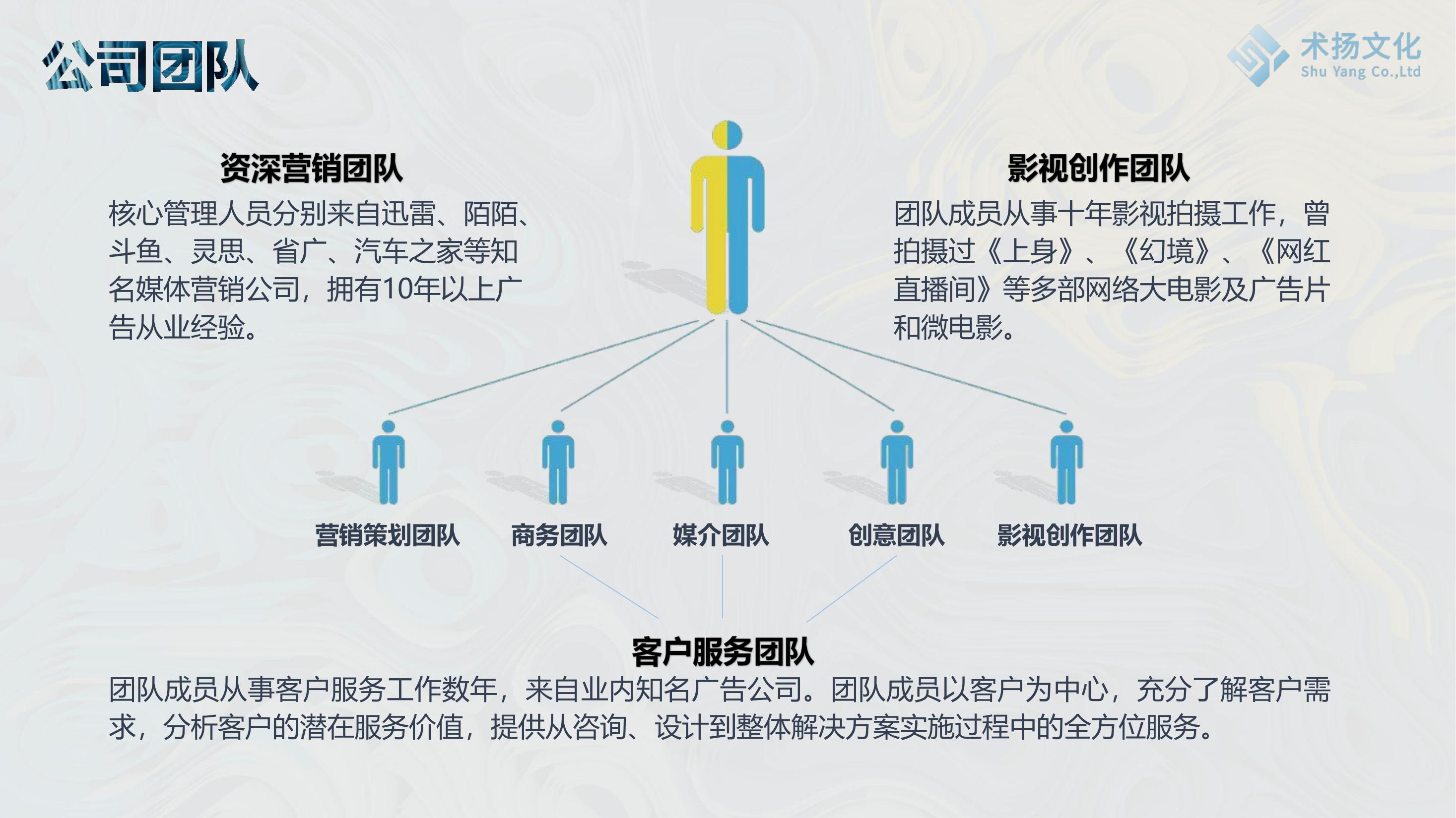 术扬文传——案例简介