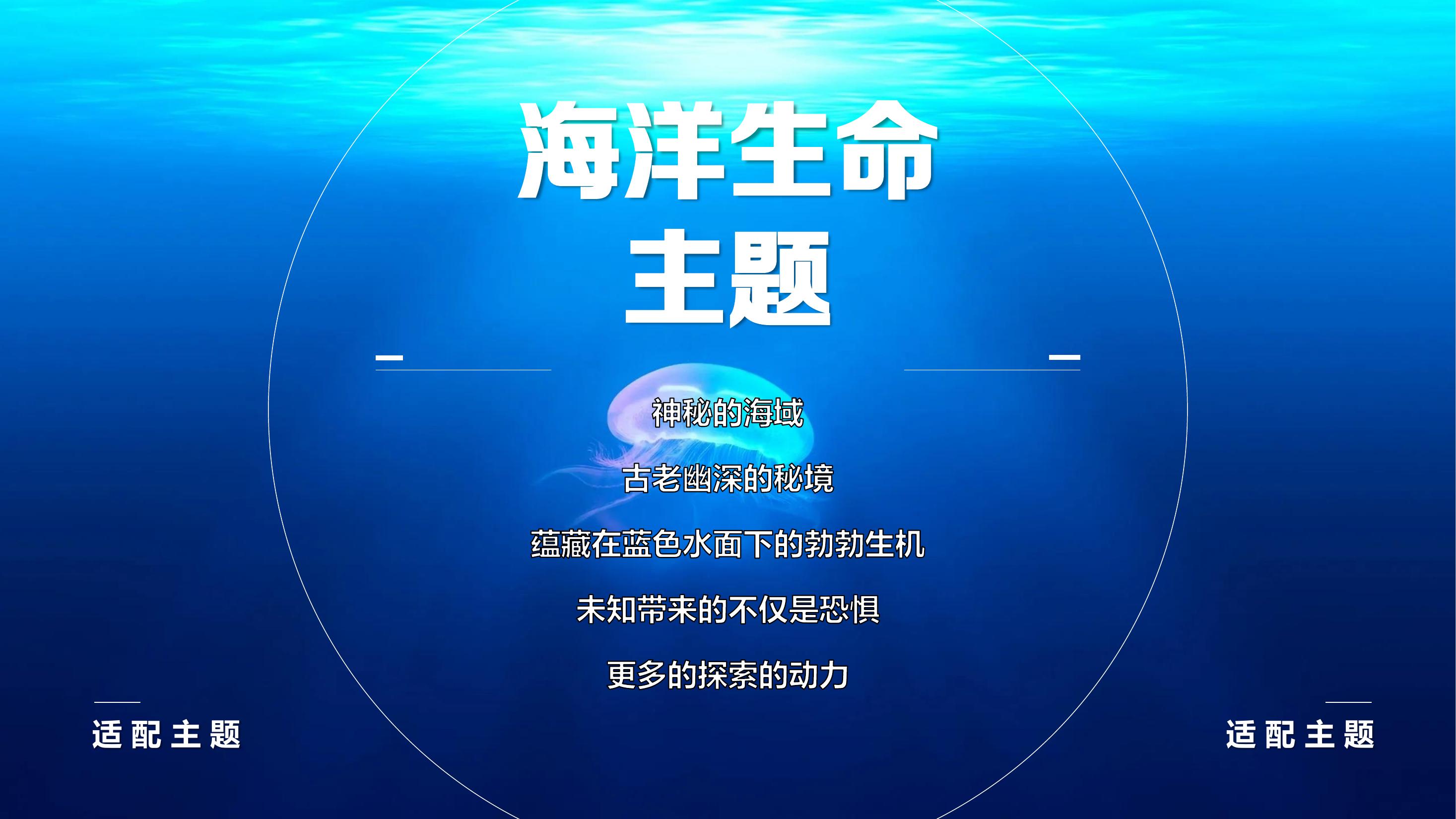 海底总动员之海洋马戏团