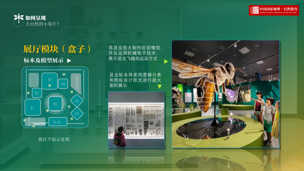 中国国家地理昆虫特展项目