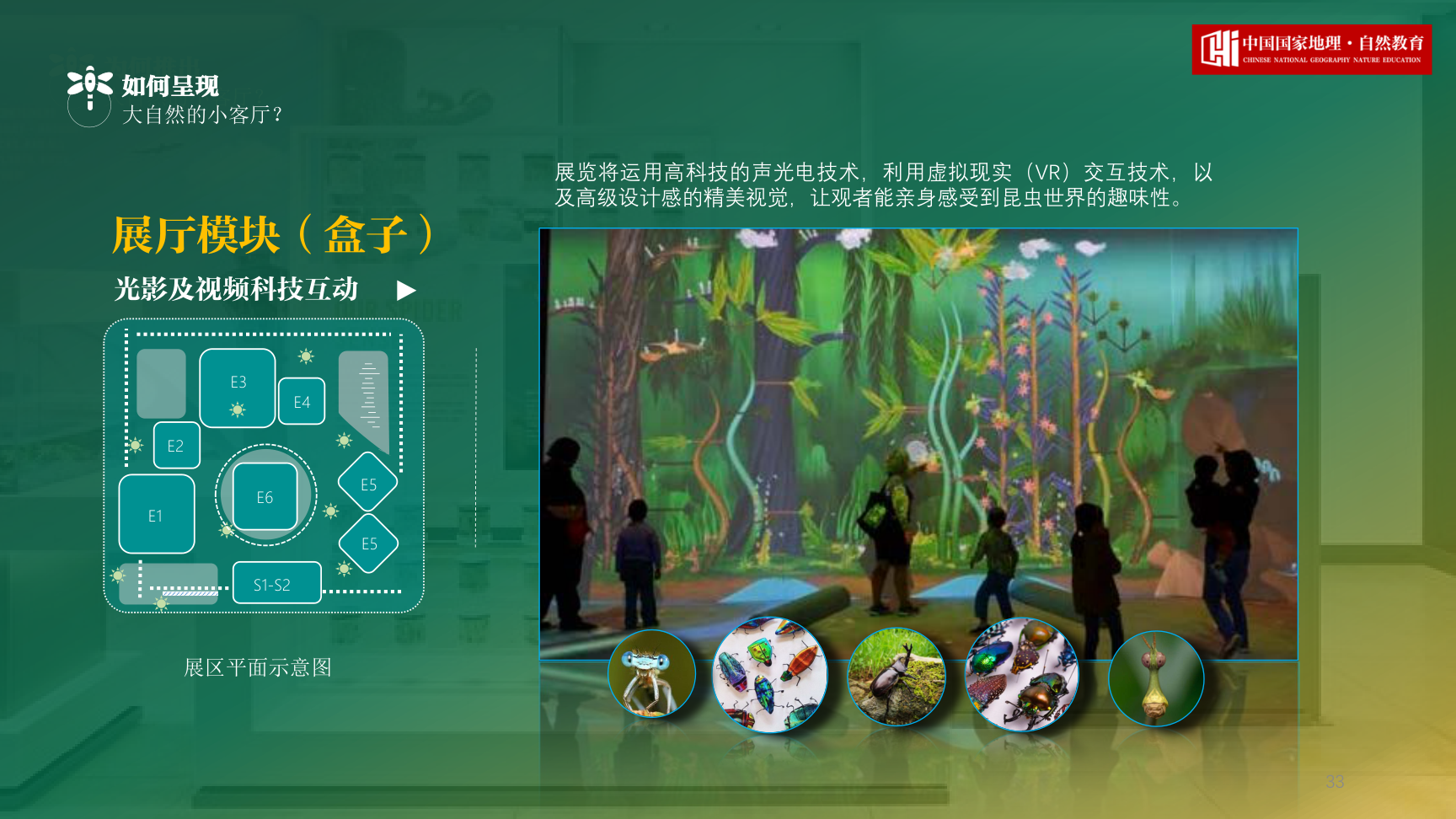 中国国家地理昆虫特展项目