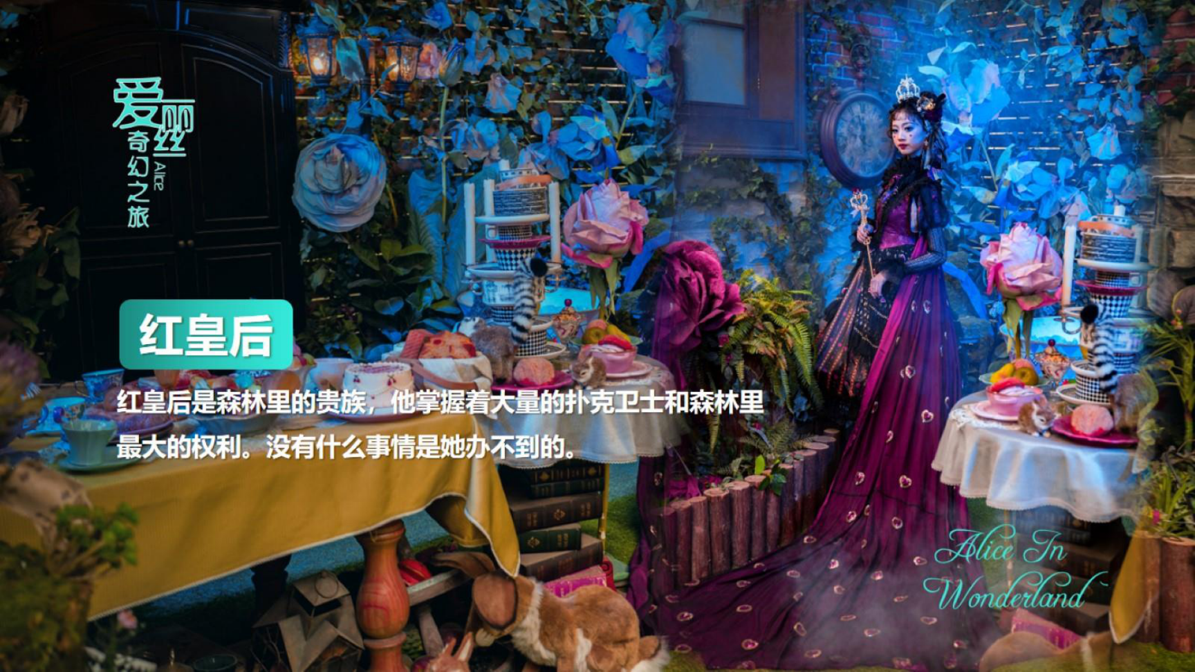 IP改编《爱丽丝奇幻之旅》亲子魔术儿童剧 演出暖场 巡游互动