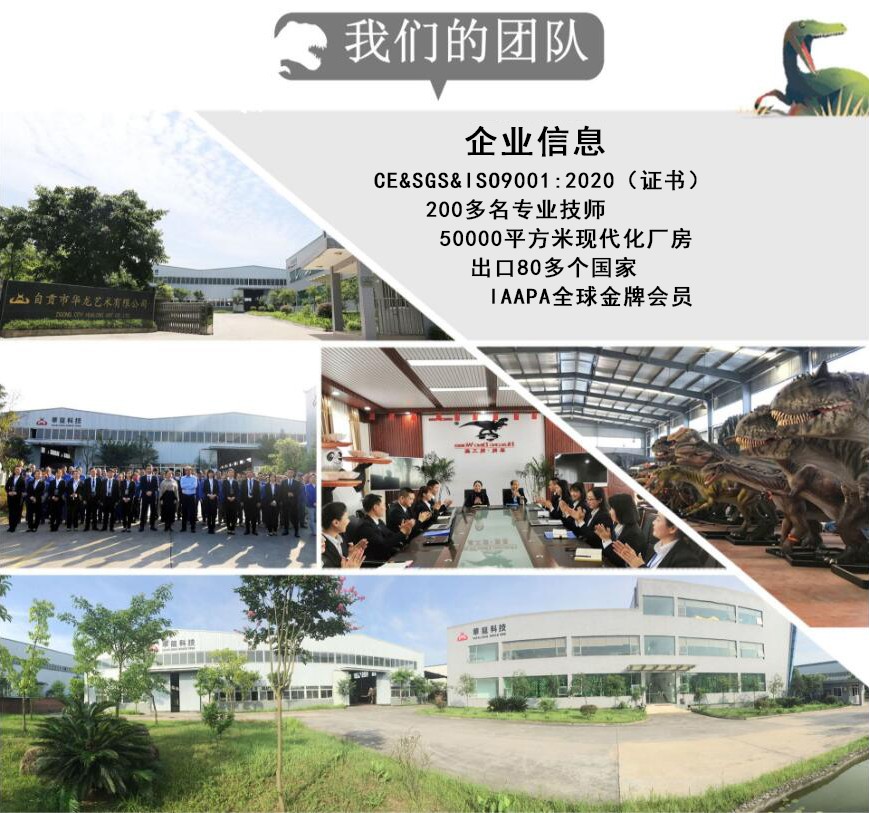 我们的团队.jpg